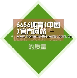 6686体育(中国)官方网站 - 6686 SPORTS